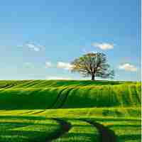 自‍动‍聚﻿合‍功​能‍